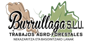 Burrullaga SLU Logo